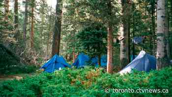 Ontario’s second new provincial park will 'definitively' include backcountry, minister says