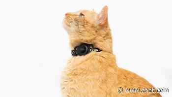 Tile's New Cat-Finder Accessory Can Help Track Your Pet     - CNET