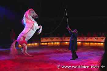 Circus Belly gastiert in Bad Oeynhausen