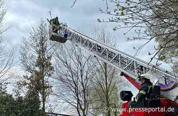 FW-ROW: Pferdestall steht in Flammen