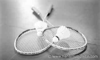 Surrey man fined almost $900 for painting badminton court on city street