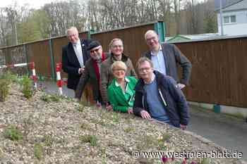 Heimische Stauden punkten beim Blumenschmuckwettbewerb des HVV Höxter
