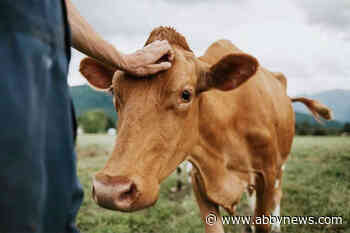 Introducing HARVEST: Monthly magazine showcases B.C.’s agriculture talent