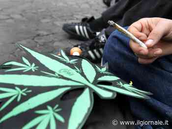 Studente sospeso dopo lo spinello in classe. Il Tar lo fa riammettere