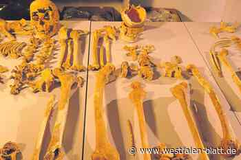 Schlummert Widukind in der Stiftskirche Enger?