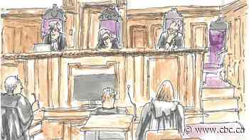 Lawyers for Peter Nygard make case for quashing extradition order