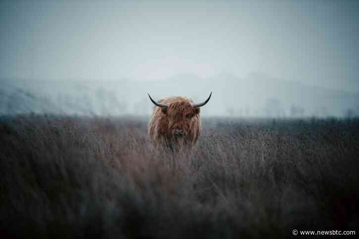 This Highly Profitable Bitcoin Cross Has Just Formed Again