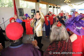 Red Hat Society rings in 25 years of fun, friendship, frolicking in Chilliwack