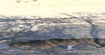 What is Saskatchewan’s worst road? CAA took a poll