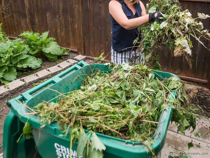 Council gets clarification on green cart program, sets net-zero target for 2050