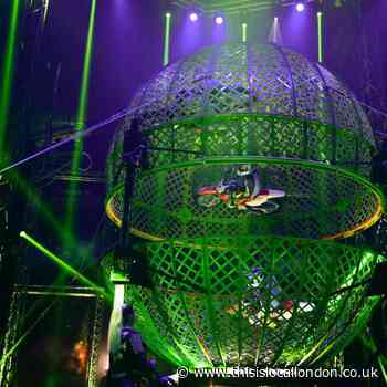 The circus- dead entertainment or a perfect day out?