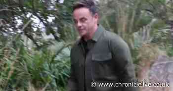 Ant McPartlin confronts I'm A Celebrity 'intruder' on set as ITV crew called in