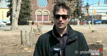 ‘Fear of change’: Buena Vista resident responds to those opposing apartments