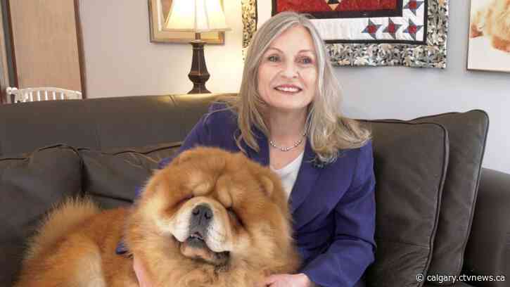 'It's the prestige': Calgary dog owners prepare for Westminster Kennel Club Dog Show