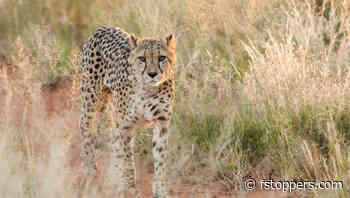 Namibia: Tips for a Photography Road Trip Across Southern Africa