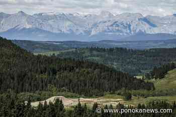 Australian coal company withdraws plan for mine in Alberta foothills