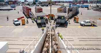 Policy wording echoes activist report