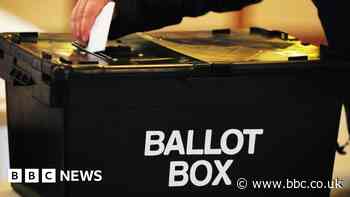 North Lincolnshire Council Tory candidate suspended over Holocaust posts