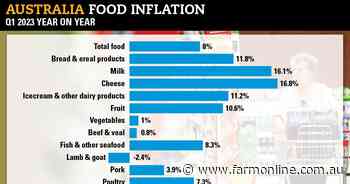 Food inflation peak passes, but prices still well above average