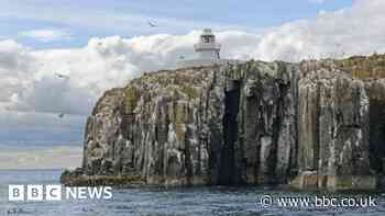 Bird flu forces Farne Islands to shut to visitors