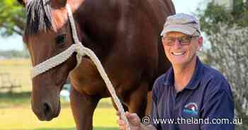 Rural vets slam government for ignoring crippling vet shortage