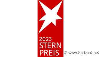 Journalistenpreis: Berichte über Transidentität, RBB und Kirche mit Stern-Preis ausgezeichnet