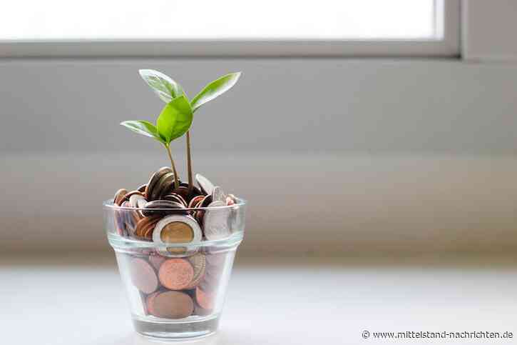 Sparfüchse aufgepasst: So lässt sich Geld im Alltag sparen!