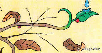 How the agency business can overcome its crisis of confidence