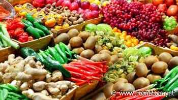 La festa del primo maggio nel municipio VIII: le iniziative in collaborazione con Slow Food