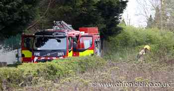 Arson investigation launched as firefighters tackle blaze at Gateshead farm