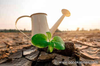 Alberta spring drought conditions ‘looking fairly good,’ says expert