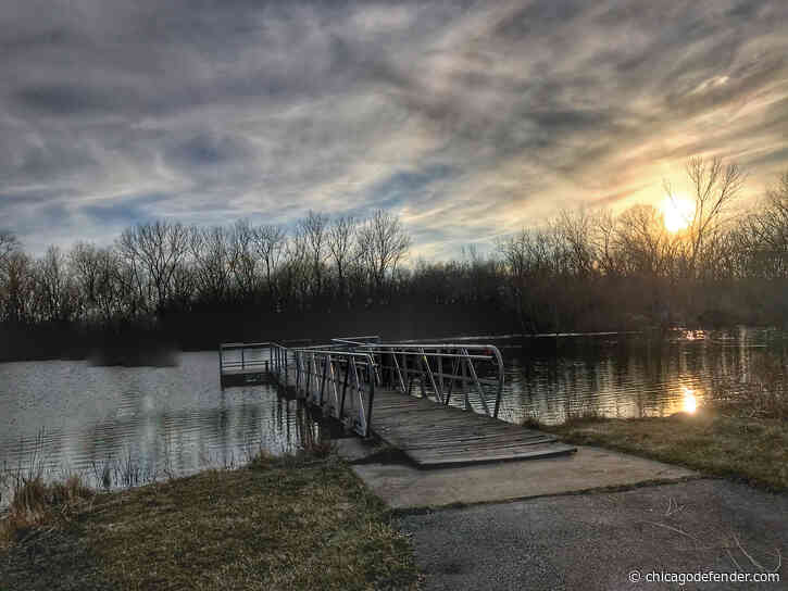 Join a Volunteer Day at Beaubien Woods this Spring with the Forest Preserves of Cook County
