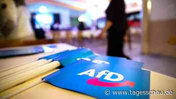 AfD scheitert mit Eilantrag für Bürgerschaftswahl