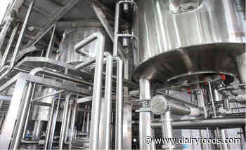 Three ideas to make your dairy plant more sustainable