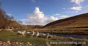 Major victory for 'one-off' chance to bring electricity to Upper Coquet Valley