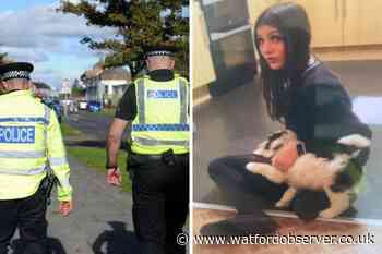 Police appeal for information on missing Abbots Langley girl