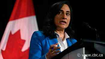 Canada has completed first evacuation flight from Sudan: defence minister