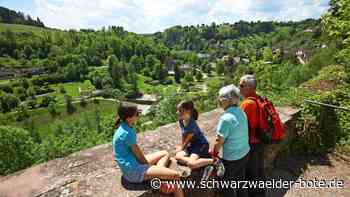 Freizeit in Wildberg: Stadtgeschichte und Naturerlebnisse