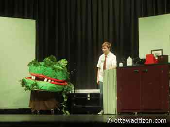 Cappies: Lester B. Pearson presents an 'outstanding rendition' of Little Shop of Horrors