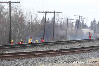 Firefighters respond to multiple grass in Blackfalds