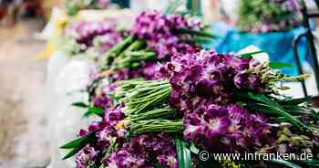 Baunach: Besondere Aktionen, Shopping und Kulinarik - Stadt lädt zum Frühlingsmarkt ein