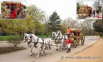 An Uber fit for a king: Ride-sharing firm launches horse-drawn Coronation carriage in Dulwich Park 