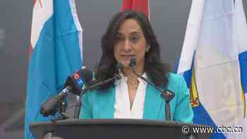 Minister announces 1st Canadian evacuation flight out of Sudan