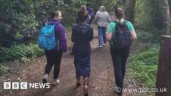 Rise in people seeking solace in mental health nature walks