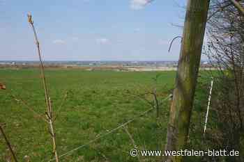 Zustimmung für geplante PV-Anlage in Bad Lippspringe