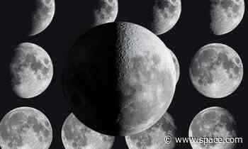 Look up and see half-lit first quarter moon tonight