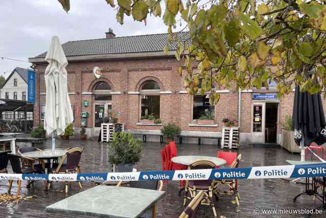 Parket eist 12 jaar cel voor poging oudermoord: “Hij liep het café binnen richting zijn moeder en stak drie keer in de hals”