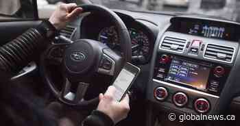 Distracted driving deaths up 36% over 2 years in Ontario: report