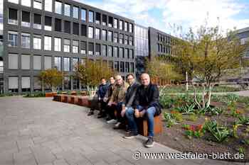Bielefelder Umweltbetrieb schafft Klima-Oase