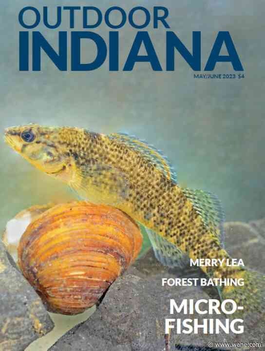 Microfishing is a thing, here's how to learn more